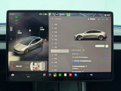 Tesla Model 3 2023 Rear-Wheel Drive - ფოტო 10