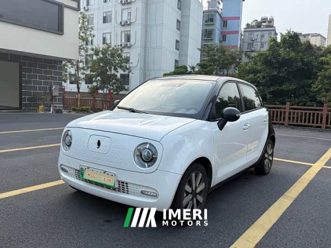 2021 ORA Black Cat 351km Luxury - ავტომობილი ჩინეთიდან