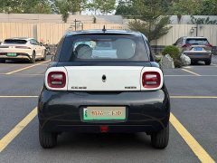 ORA Black Cat 351km Luxury - ფოტო 5