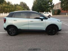Geely Geometry E Firefly 401KM Thunder Tiger 5-Seater - ფოტო 4