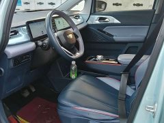 Geely Geometry E Firefly 401KM Thunder Tiger 5-Seater - ფოტო 8
