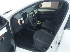 Dongfeng Nano EX1 Nanotech EX1 PRO Breeze Edition Lightning Type - ფოტო 9