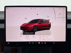 Tesla Model 3 2023 Rear-Wheel Drive - ფოტო 7