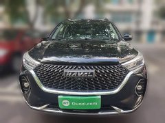 Haval M6 PLUS 1.5T DCT Luxury Smart Connected Edition - ფოტო 2