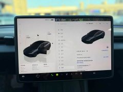 Tesla Model 3 2023 Rear-Wheel Drive - ფოტო 6