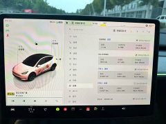 Tesla Model Y Rear-Wheel Drive - ფოტო 10