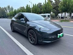 Tesla Model Y Rear-Wheel Drive - ფოტო 3