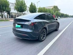 Tesla Model Y Rear-Wheel Drive - ფოტო 7