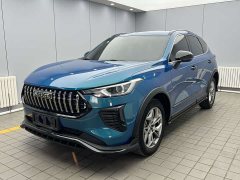 Haval Chitu Jinxiang Edition 1.5T Bronze Rabbit - ფოტო 1