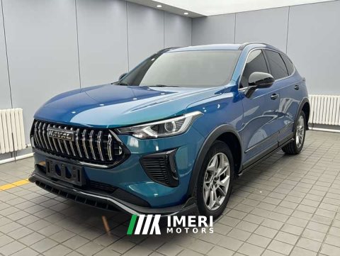 2022 Haval Chitu Jinxiang Edition 1.5T Bronze Rabbit - ავტომობილი ჩინეთიდან