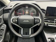 Haval Chitu Jinxiang Edition 1.5T Bronze Rabbit - ფოტო 10