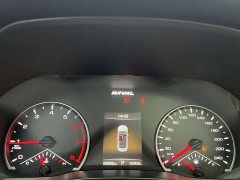 Haval Chitu Jinxiang Edition 1.5T Bronze Rabbit - ფოტო 11