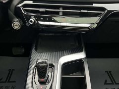 Haval Chitu Jinxiang Edition 1.5T Bronze Rabbit - ფოტო 12