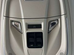 Haval Chitu Jinxiang Edition 1.5T Bronze Rabbit - ფოტო 14