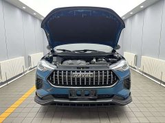 Haval Chitu Jinxiang Edition 1.5T Bronze Rabbit - ფოტო 16