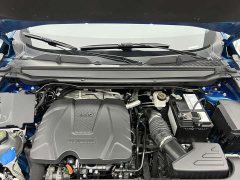 Haval Chitu Jinxiang Edition 1.5T Bronze Rabbit - ფოტო 17