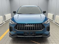 Haval Chitu Jinxiang Edition 1.5T Bronze Rabbit - ფოტო 2