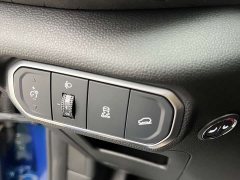 Haval Chitu Jinxiang Edition 1.5T Bronze Rabbit - ფოტო 20
