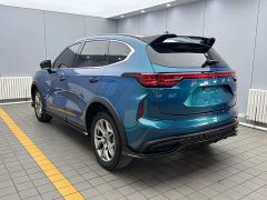 Haval Chitu Jinxiang Edition 1.5T Bronze Rabbit - ფოტო 4