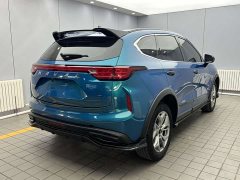 Haval Chitu Jinxiang Edition 1.5T Bronze Rabbit - ფოტო 6