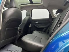 Haval Chitu Jinxiang Edition 1.5T Bronze Rabbit - ფოტო 8