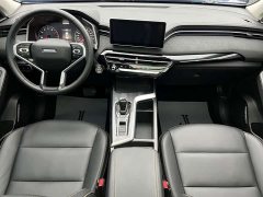 Haval Chitu Jinxiang Edition 1.5T Bronze Rabbit - ფოტო 9