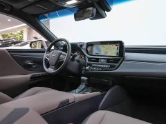Lexus ES 2022 300h Premium Edition - ფოტო 8