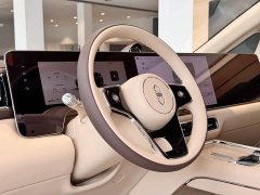 Luxeed Zhiji V9 Max - ფოტო 8