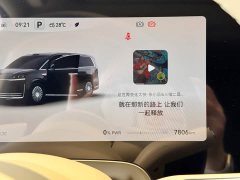 Luxeed Zhiji V9 Max - ფოტო 9
