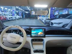 Geely Xing Yuan 310km Youth Edition - ფოტო 12