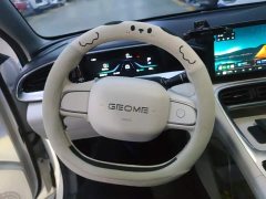Geely Xing Yuan 310km Youth Edition - ფოტო 15