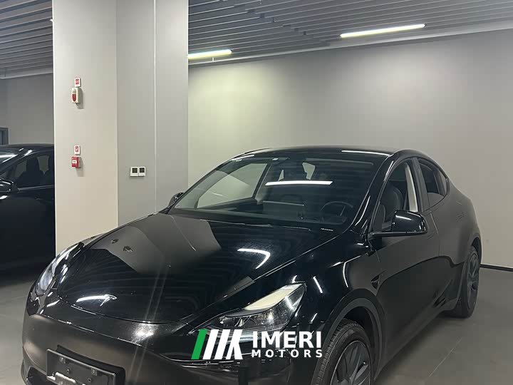 Tesla Model Y Rear-Wheel Drive
