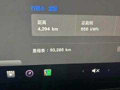 Tesla Model Y Rear-Wheel Drive - ფოტო 4