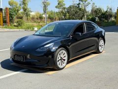 Tesla Model 3 Standard Range RWD Upgrade - ფოტო 1