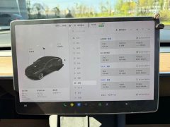 Tesla Model 3 Standard Range RWD Upgrade - ფოტო 10