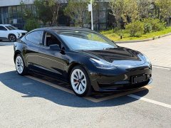 Tesla Model 3 Standard Range RWD Upgrade - ფოტო 3