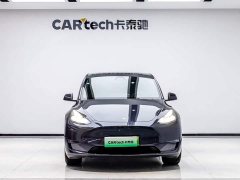 Tesla Model Y Long Range All-Wheel Drive - ფოტო 1