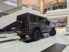 AITO 212 T01 2.0T Mechanic Edition - ფოტო 8
