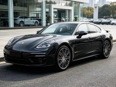 Porsche Panamera 2.9T - ფოტო 1