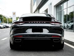 Porsche Panamera 2.9T - ფოტო 16