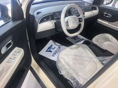 Chery Kaiyue Shiyue Max 310km Ruyu Edition - ფოტო 12