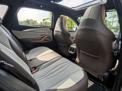 BYD Song Pro New Energy Champion Edition DM-i 110KM Excellence - ფოტო 12