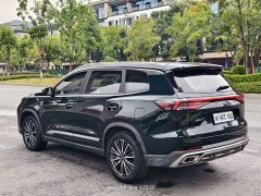 Chery Tiggo 8 PRO 2024 Champion Edition 290T Two-Wheel Drive Radiant Edition 5-Seater - ფოტო 14