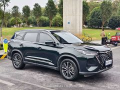 Chery Tiggo 8 PRO 2024 Champion Edition 290T Two-Wheel Drive Radiant Edition 5-Seater - ფოტო 3