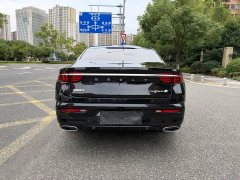 Geely Xingrui 2.0T Diesel Premium - ფოტო 12