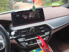 BMW 5 Series 530Li Luxury M Sport Package - ფოტო 13