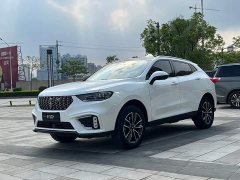 Great Wall WEY VV5 1.5T Two-Wheel Drive Smart Pioneer - ფოტო 1
