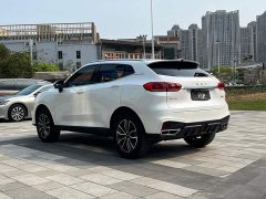 Great Wall WEY VV5 1.5T Two-Wheel Drive Smart Pioneer - ფოტო 6