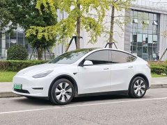 Tesla Model Y Standard Range RWD - ფოტო 1