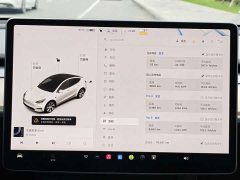 Tesla Model Y Standard Range RWD - ფოტო 12